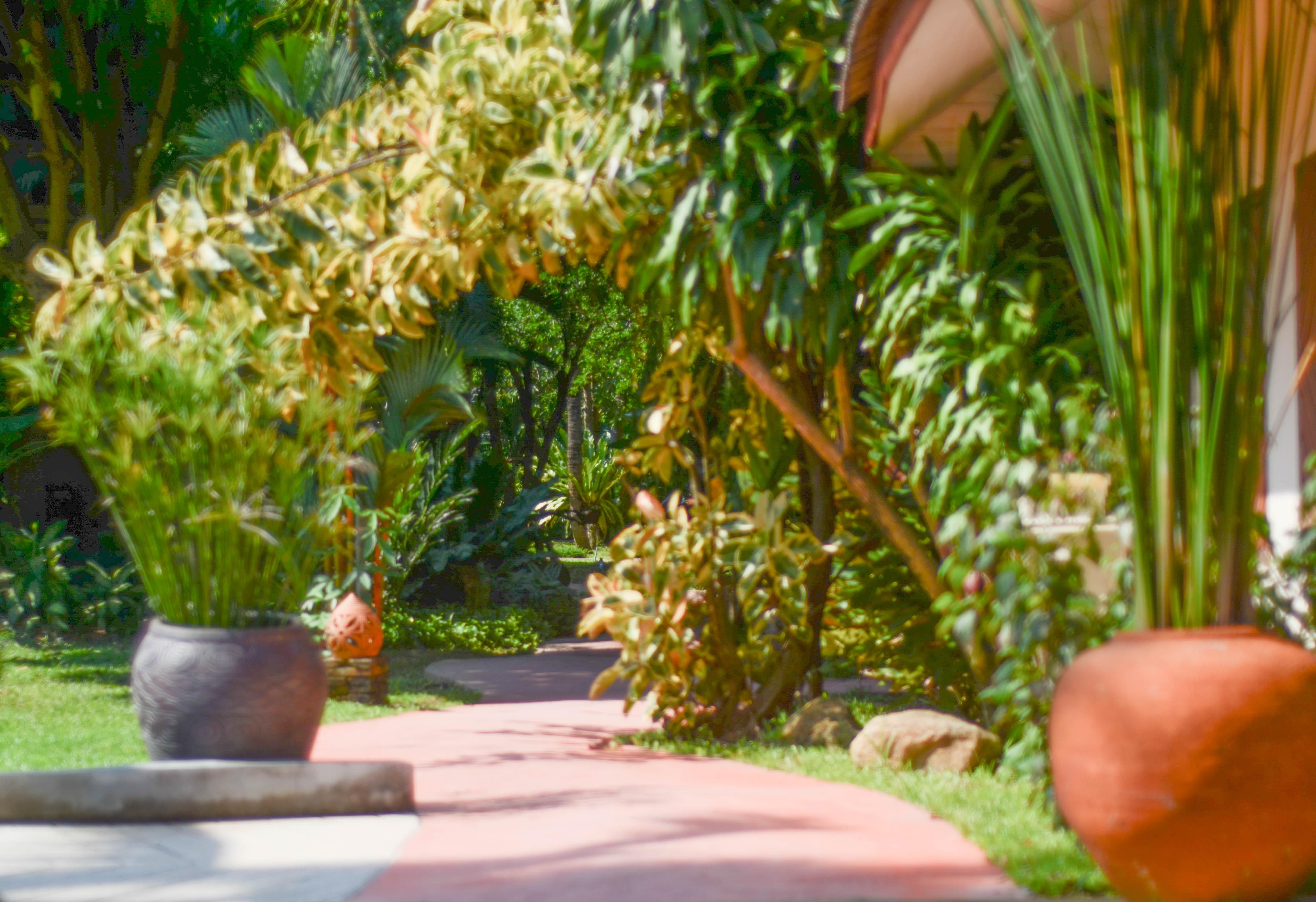 Samui Sense Beach Resort Lamai Beach (Koh Samui) Exterior foto